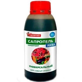 \фото\114131.jpg