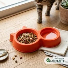 \фото\122319 1.jpg