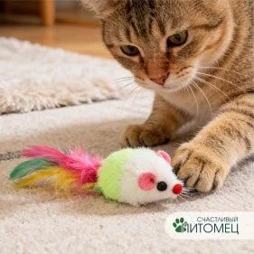 \фото\113167 1.jpg