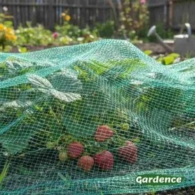 \фото\65061 1.jpg