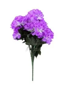 \фото\119915 1.jpg