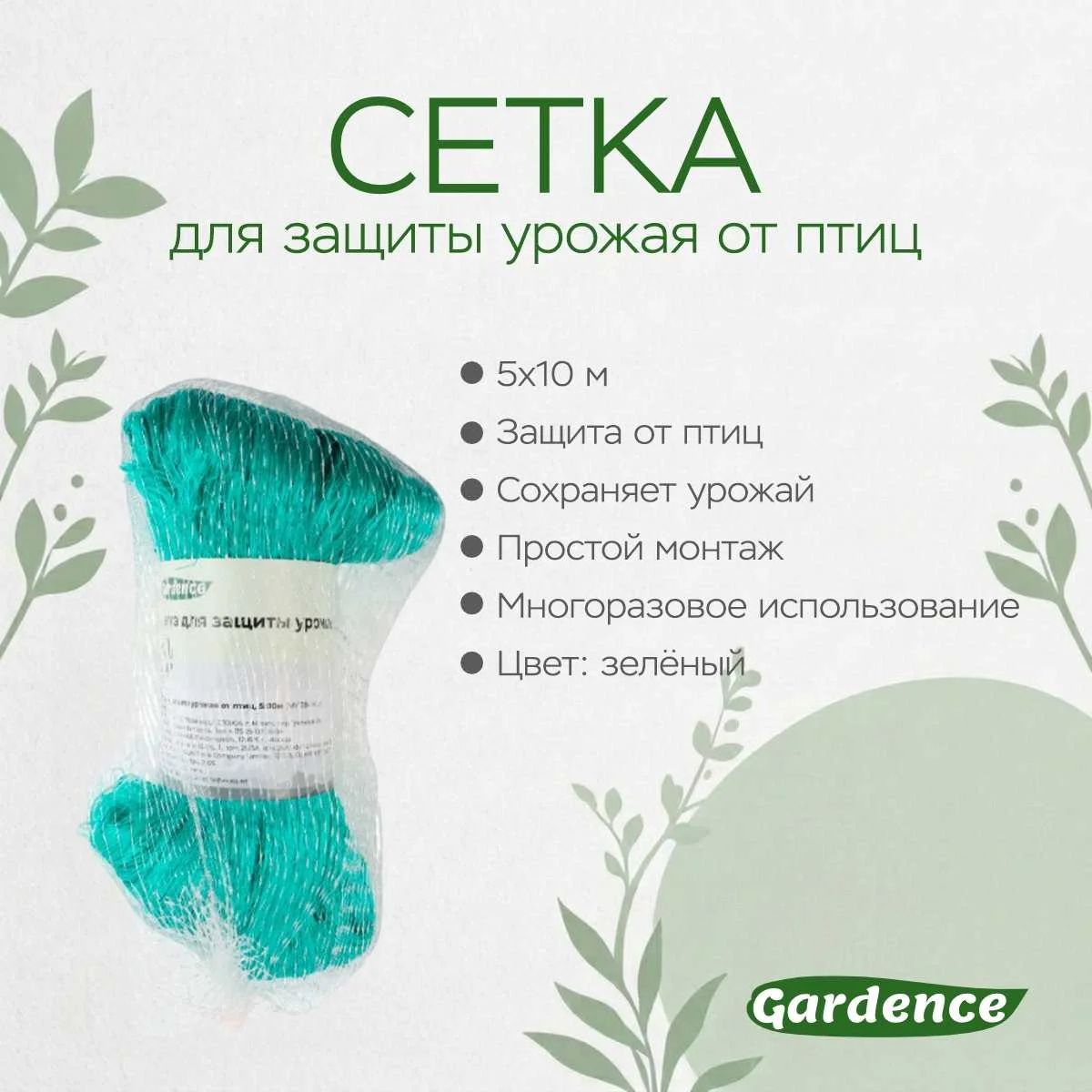 \фото\77211 2.jpg