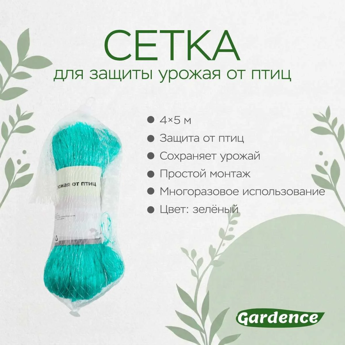 \фото\65061 2.jpg