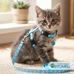 \фото\113382 1.jpg