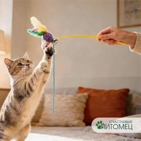 \фото\110337 1.jpg