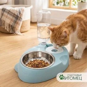 \фото\122318 1.jpg