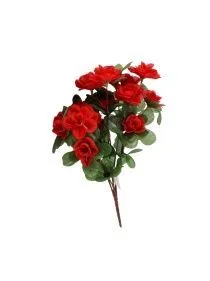 \фото\124151 1.jpg