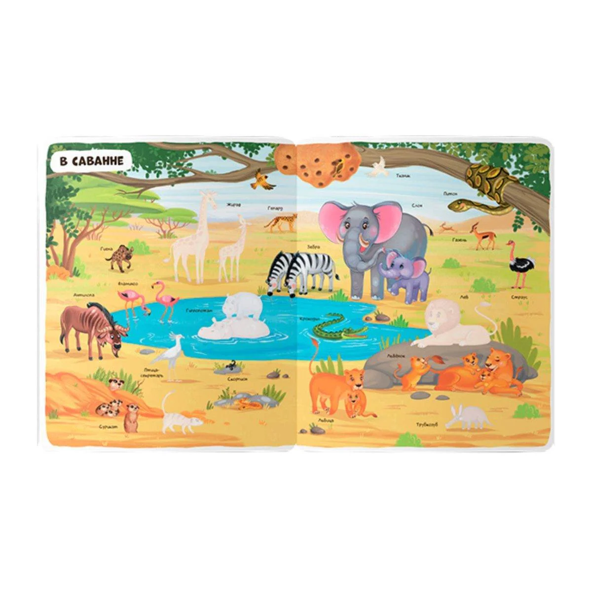 \фото\125869 2.jpg