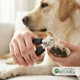 \фото\116324 1.jpg