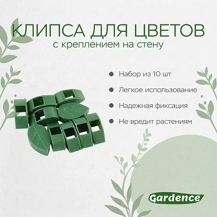 \фото\120680 2.jpg