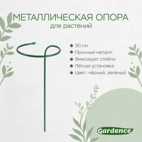 \фото\116283 2.jpg