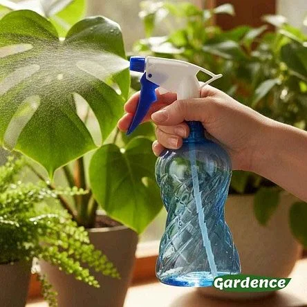 \фото\79471 1.jpg