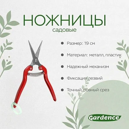 \фото\71243 2.jpg