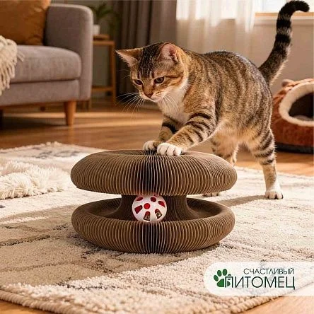 \фото\122219 1.jpg