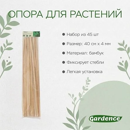 \фото\120553 2.jpg