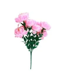 \фото\119889 2.jpg