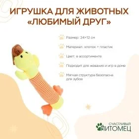 \фото\121318 2.jpg