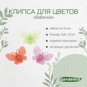 \фото\110395 2.jpg