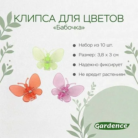 \фото\110395 2.jpg