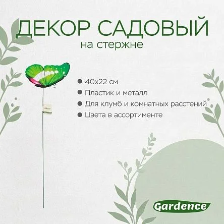 \фото\120682 2.jpg