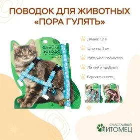 \фото\113382 2.jpg