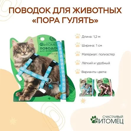 \фото\113382 2.jpg