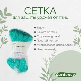 \фото\77211 2.jpg