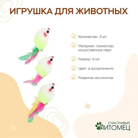 \фото\113167 2.jpg