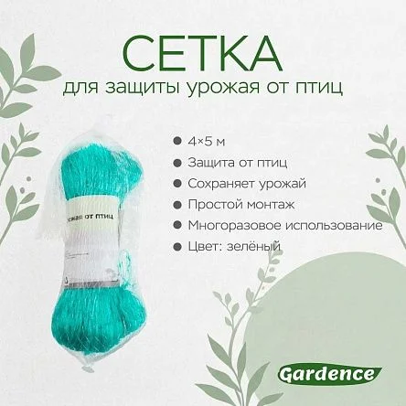\фото\65061 2.jpg