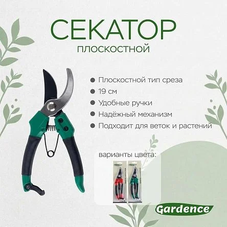 \фото\110399 2.jpg