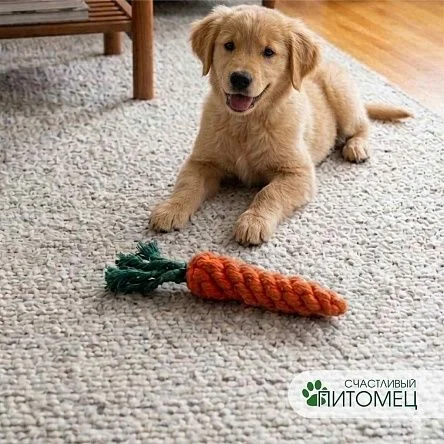 \фото\110270 1.jpg