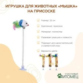 \фото\121319 2.JPG