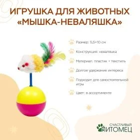 \фото\121320 2.jpg