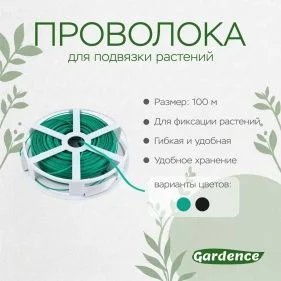 \фото\111320 2.jpg