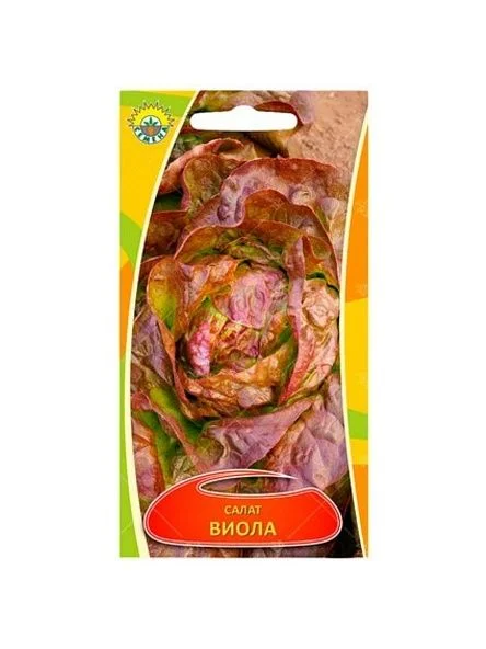 \фото\70402 1.jpg