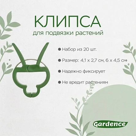 \фото\111318 2.jpg