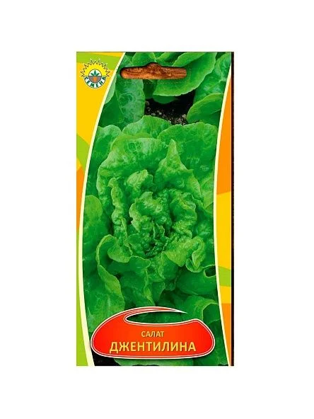 \фото\70404 1.jpg