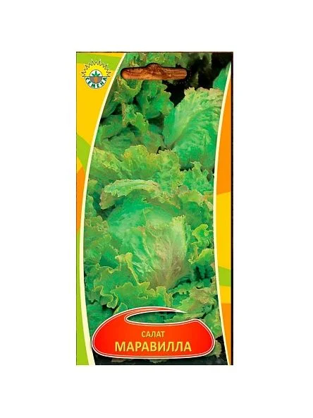 \фото\70646 1.jpg