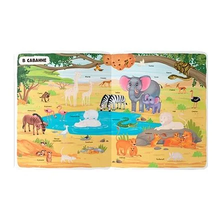 \фото\125869 2.jpg