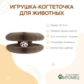 \фото\122219 2.jpg