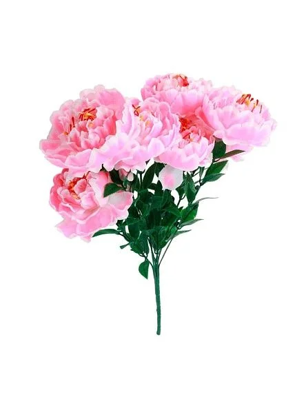 \фото\119889 1.jpg