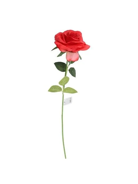 \фото\124169 1.jpg