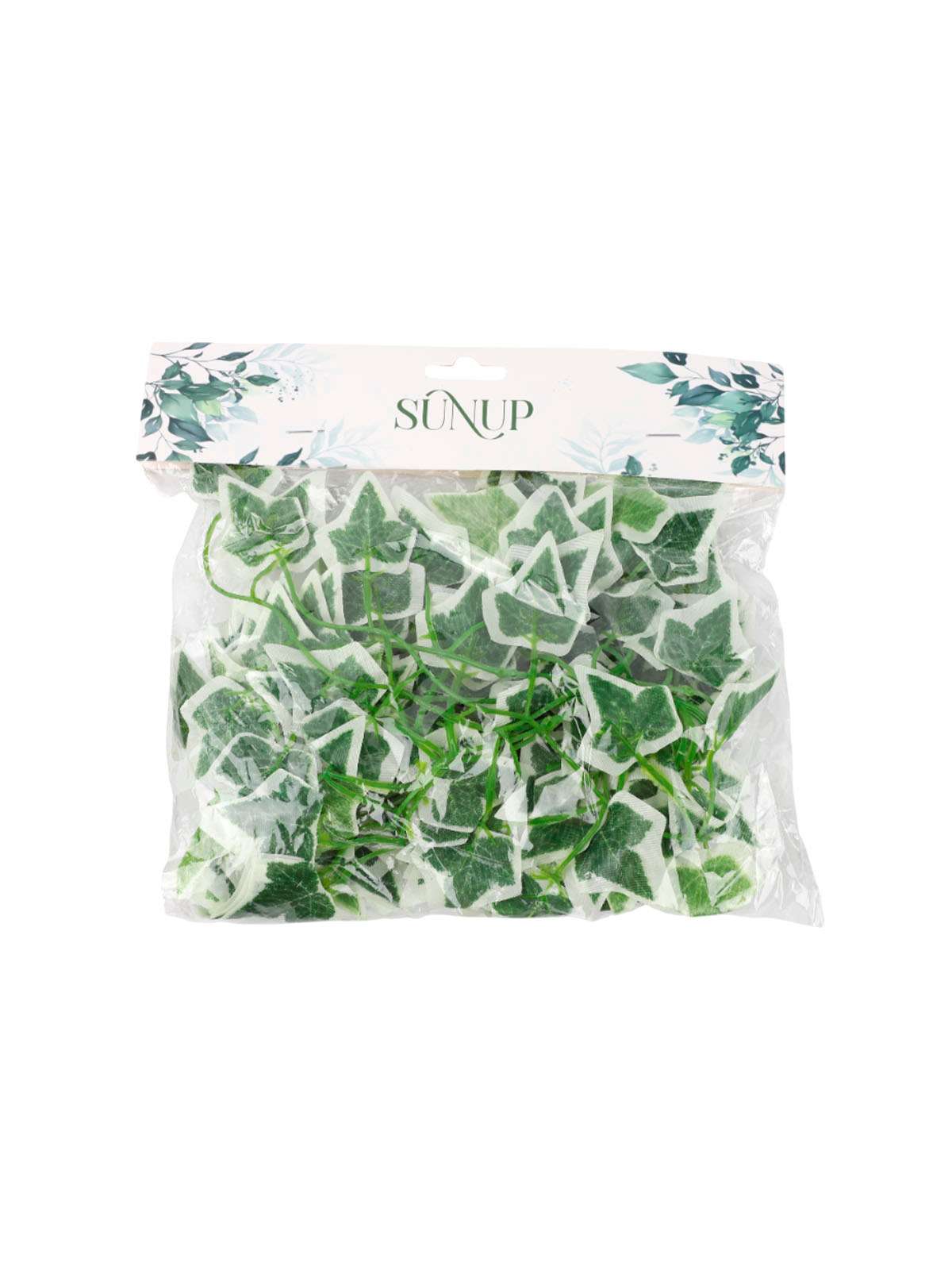 \фото\121107 1.jpg