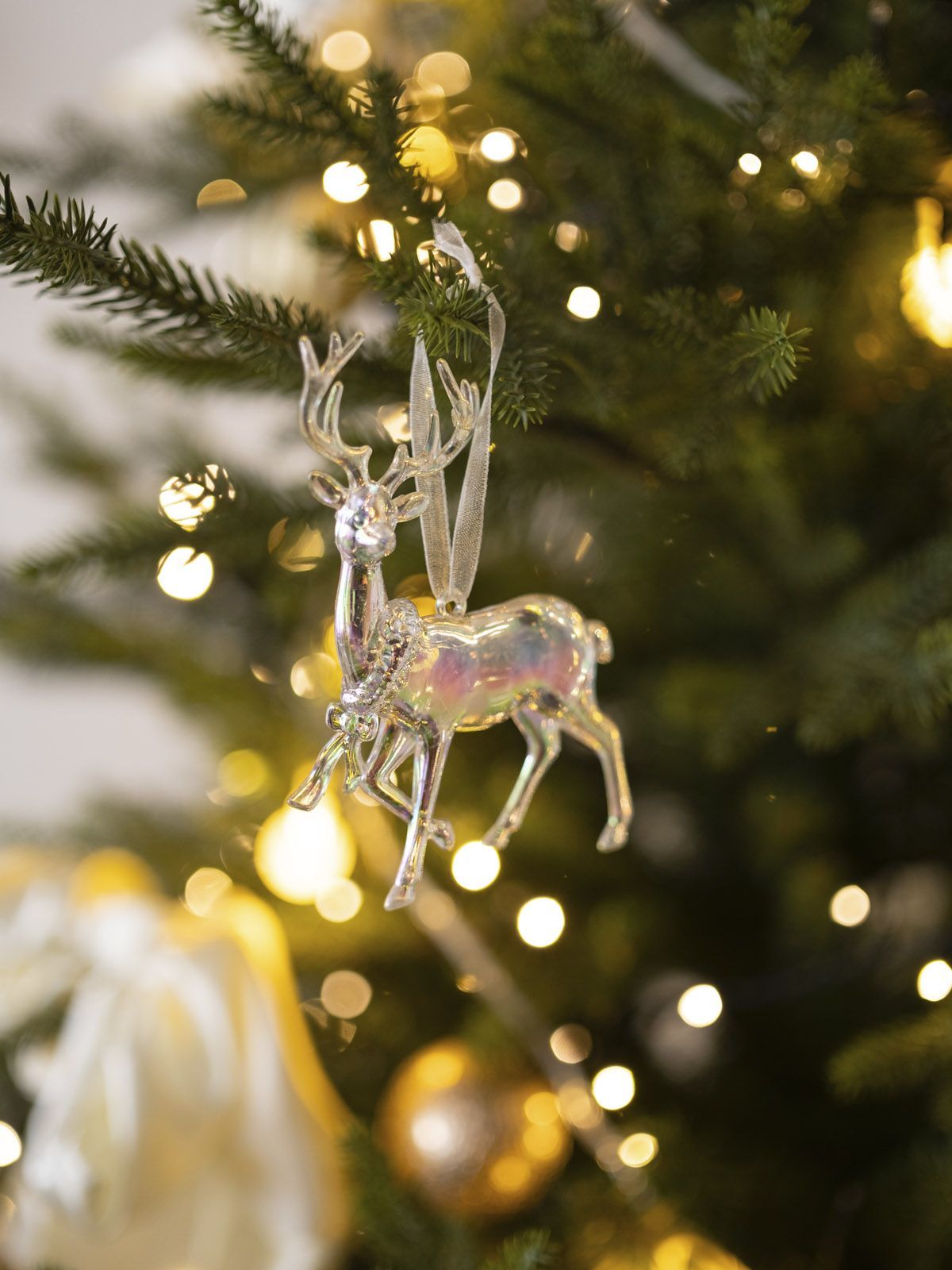 \фото\118682      1.jpg