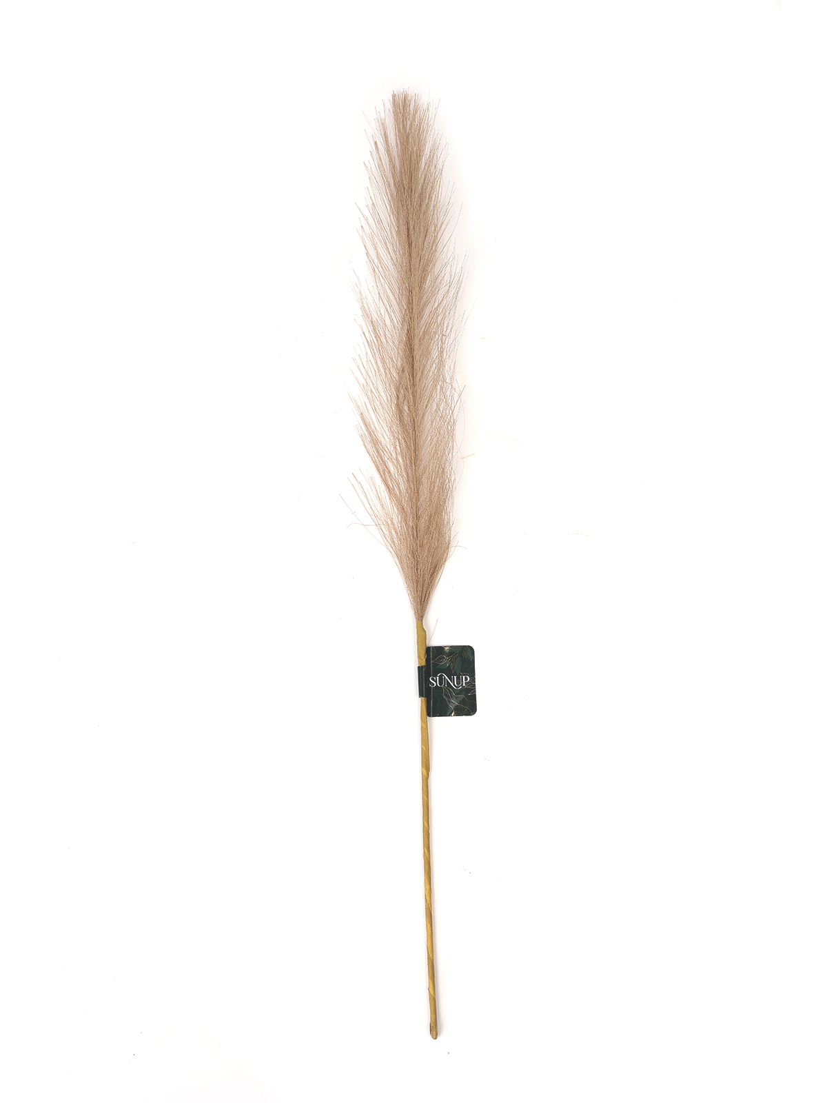 Веточка декоративная "Пампасная трава", 56 см, микс цветов