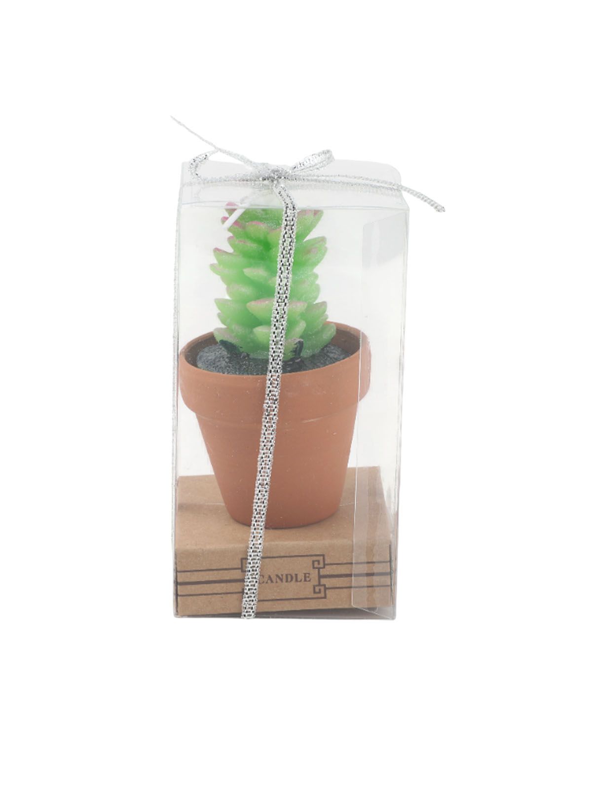 \фото\121108 1.jpg