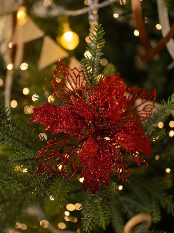 \фото\114453     1.jpg