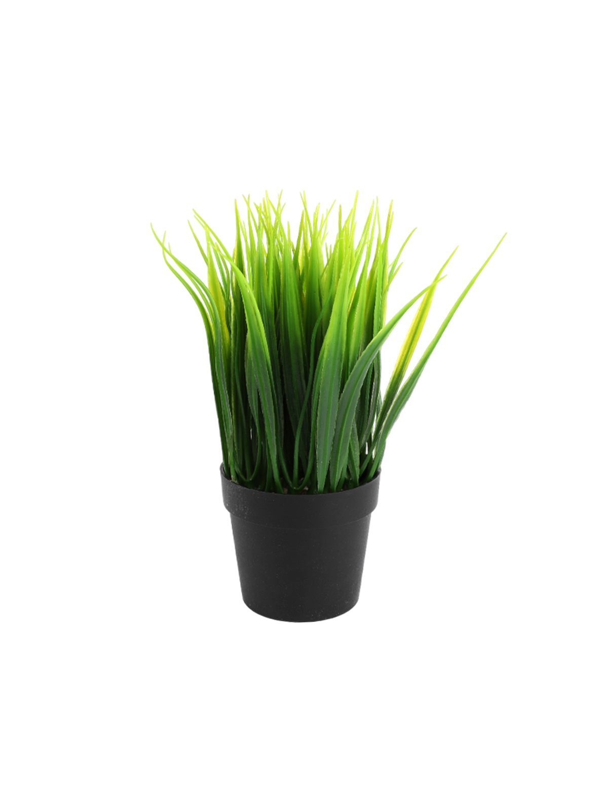 \фото\118626 1.JPG