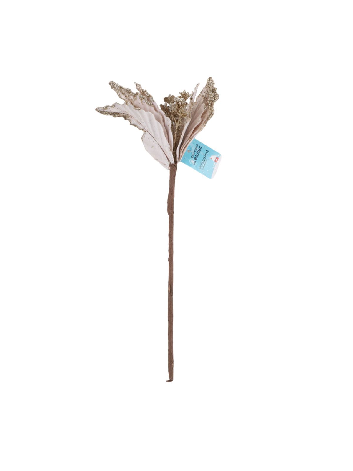 \фото\122555 1.jpg