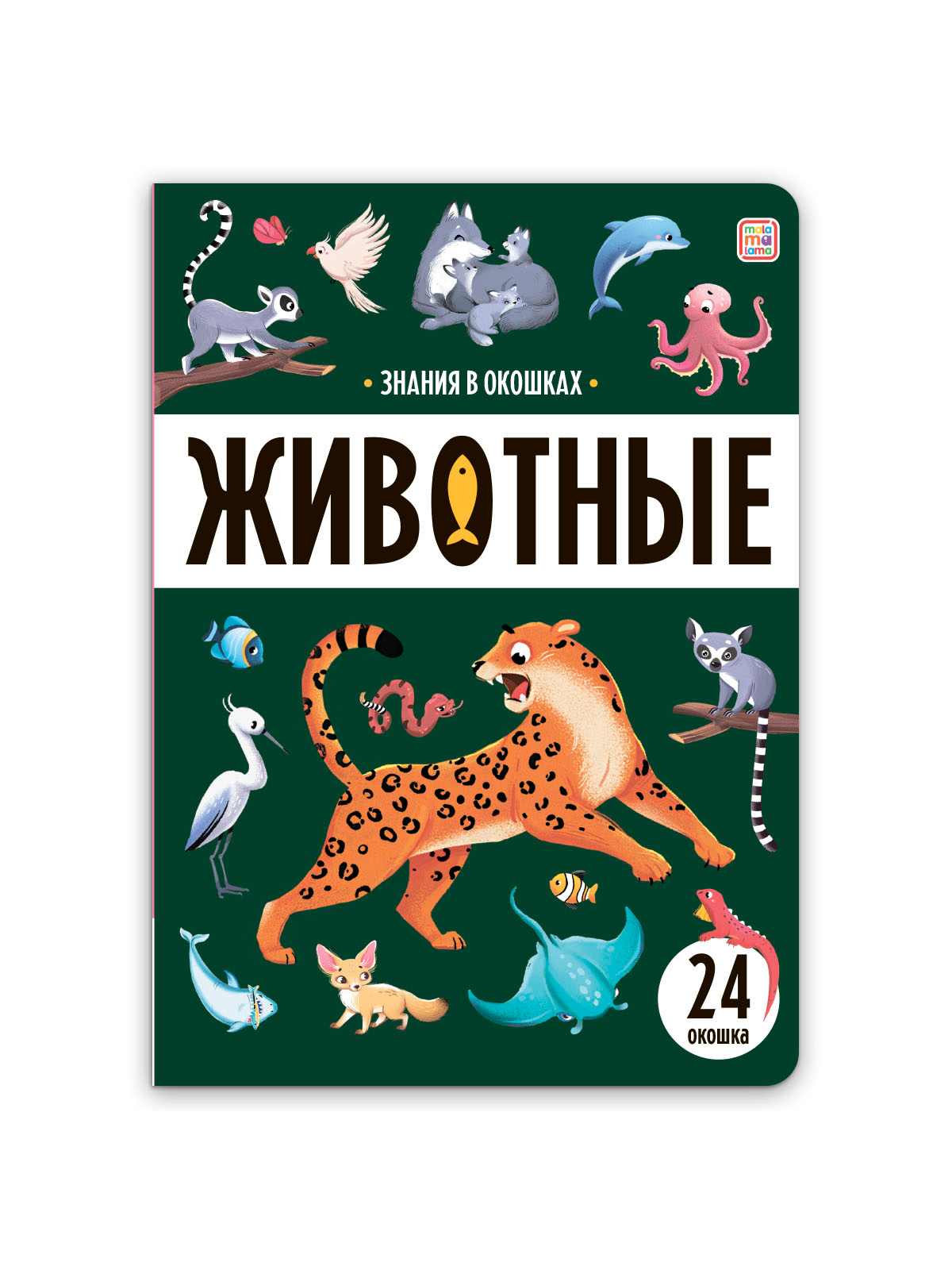 \фото\122810 1.jpg